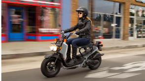 Un cavalier sur un chahut